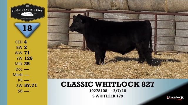 Lot #18 - CLASSIC WHITLOCK 827
