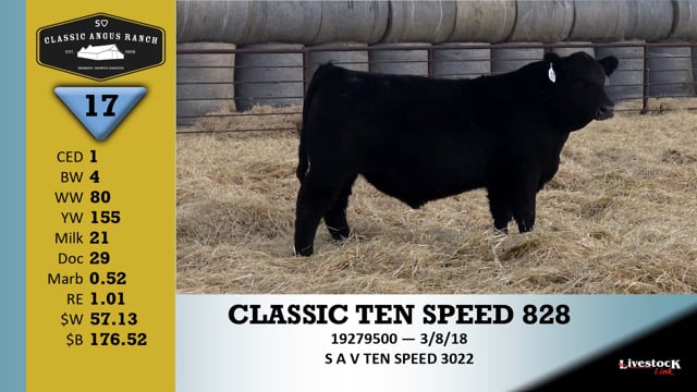 Lot #17 - CLASSIC TEN SPEED 828