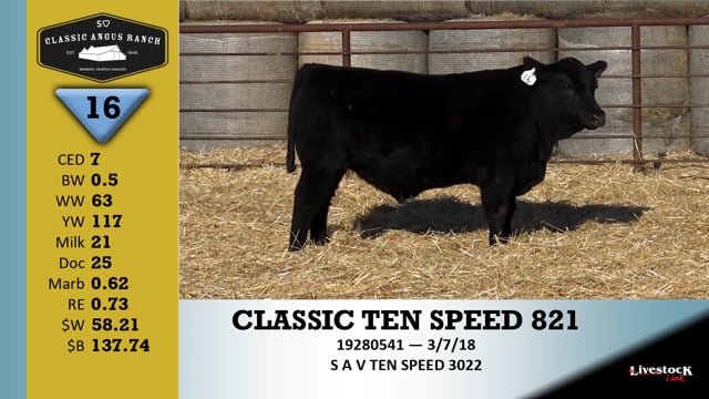 Lot #16 - CLASSIC TEN SPEED 821