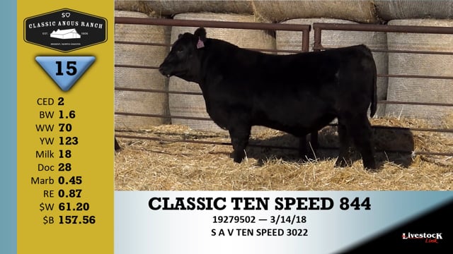 Lot #15 - CLASSIC TEN SPEED 844