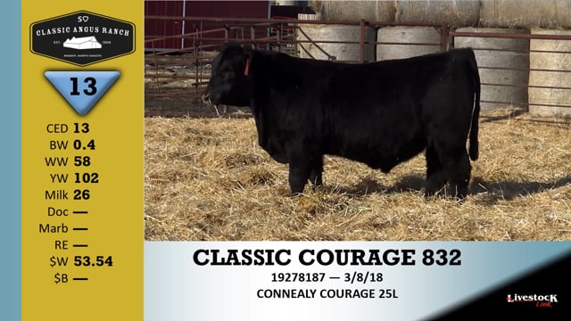 Lot #13 - CLASSIC COURAGE 832