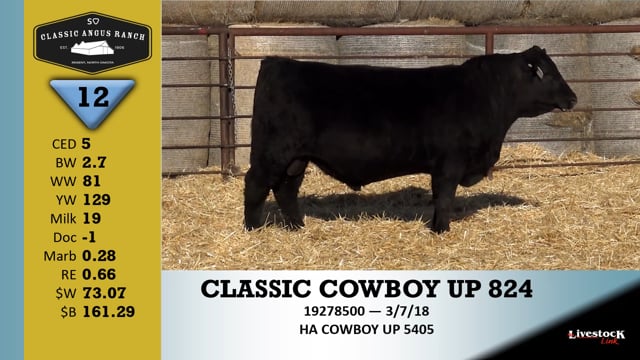 Lot #12 - CLASSIC COWBOY UP 824