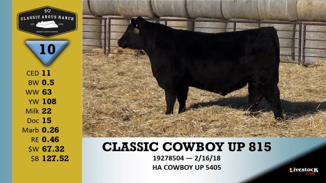 Lot #10 - CLASSIC COWBOY UP 815