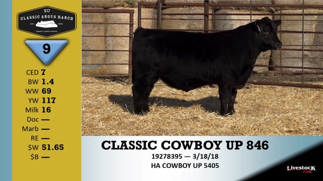 Lot #9 - CLASSIC COWBOY UP 846