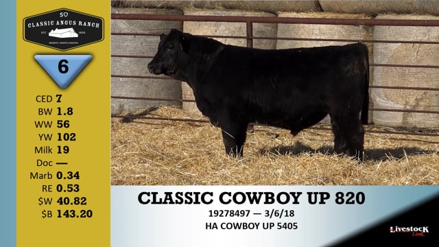 Lot #6 - CLASSIC COWBOY UP 820