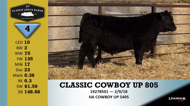 Lot #4 - CLASSIC COWBOY UP 805