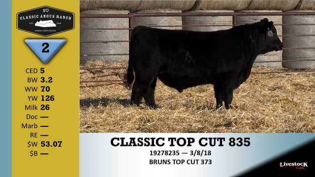 Lot #2 - CLASSIC TOP CUT 835