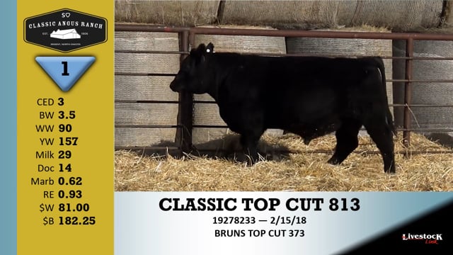 Lot #1 - CLASSIC TOP CUT 813