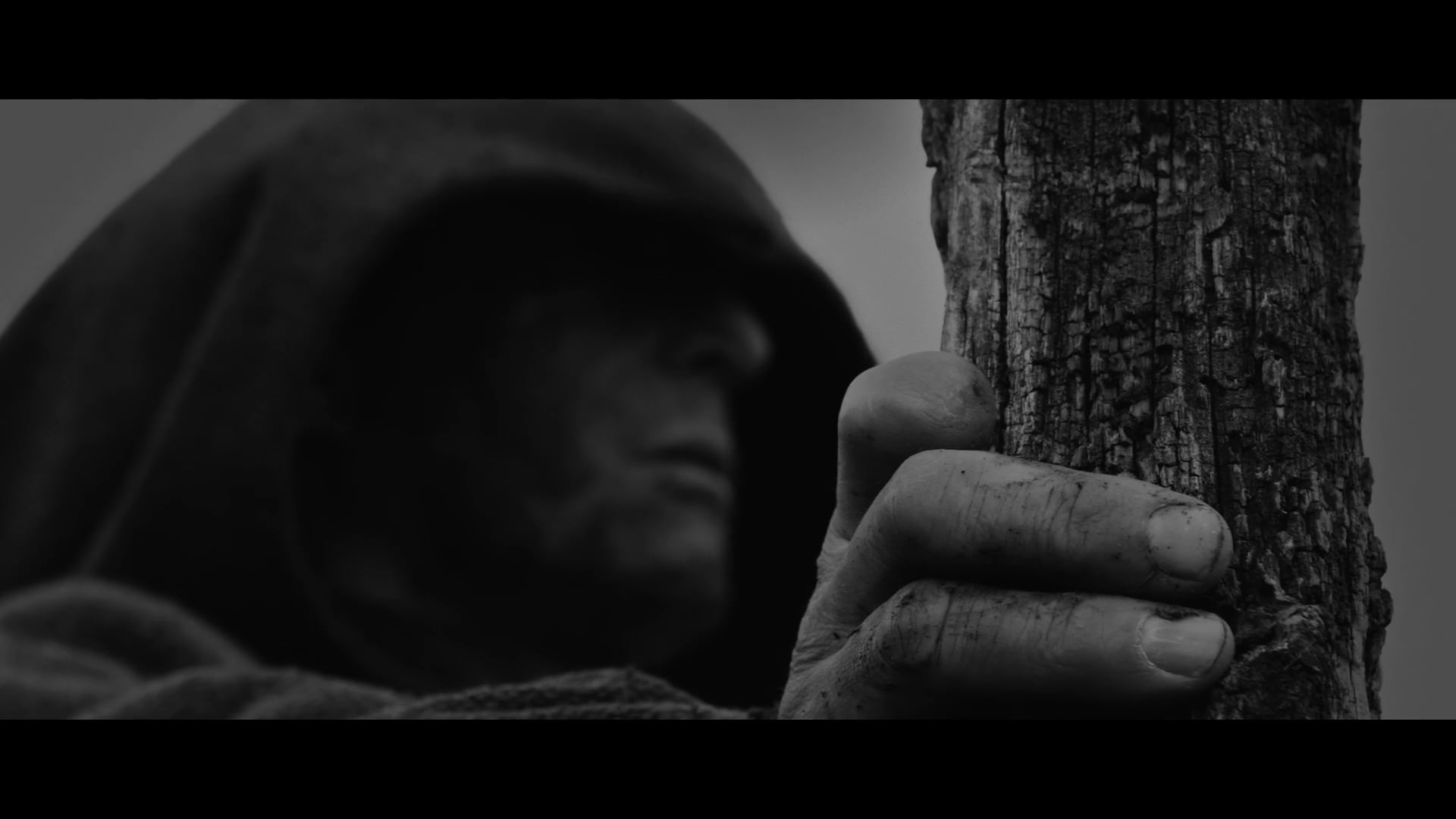 LA HORA DEL HOMBRE - NANCY HOLE