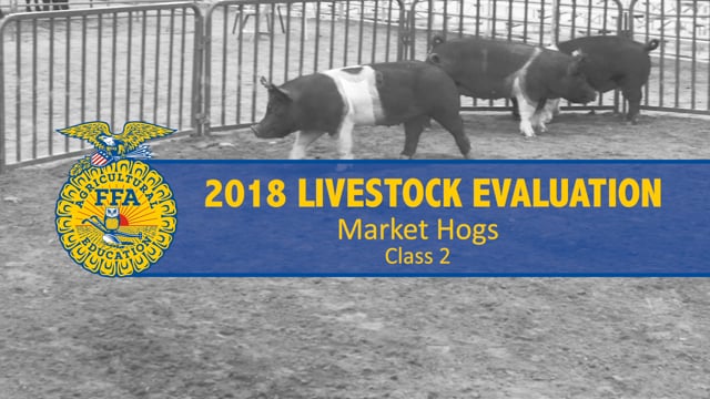 2018 Livestock – Class 2 Market Hogs