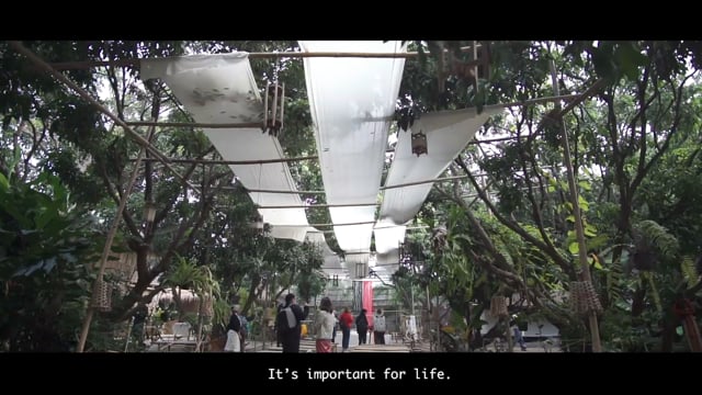 Weaving Knowledge: Banraijaisook