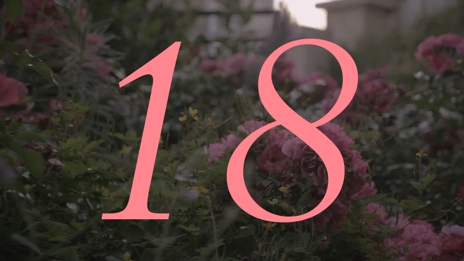 18 on Vimeo