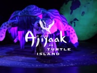 Ajijaak on Turtle Island, 2019