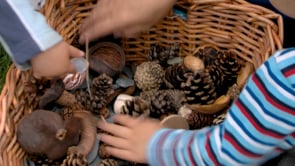 Skye – natural materials thumbnail