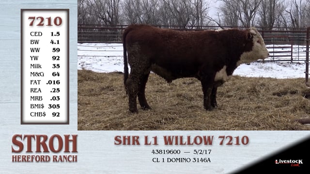 Lot #7210 - SHR L1 WILLOW 7210
