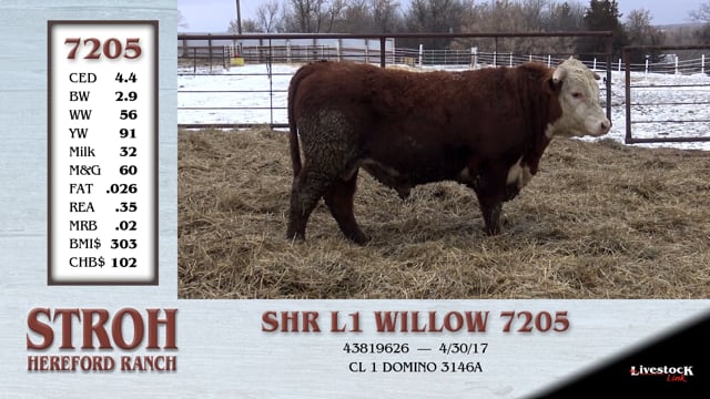 Lot #7205 - SHR L1 WILLOW 7205