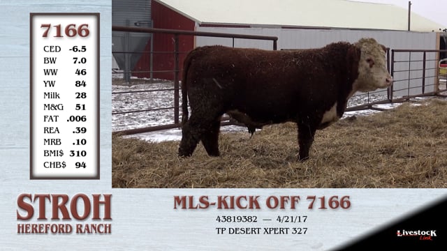 Lot #7166 - MLS-KICK OFF 7166
