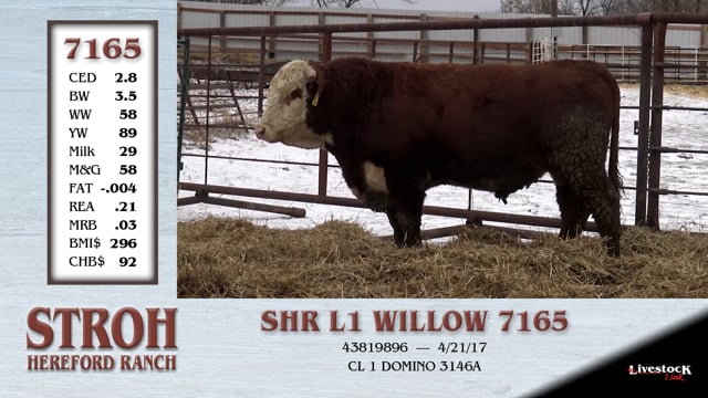 Lot #7165 - SHR L1 WILLOW 7165