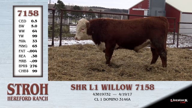 Lot #7158 - SHR L1 WILLOW 7158