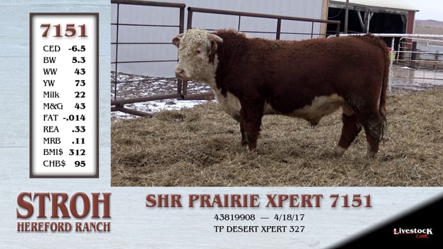 Lot #7151 - SHR PRAIRIE XPERT 7151