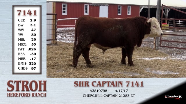 Lot #7141 - SHR CAPTAIN 7141