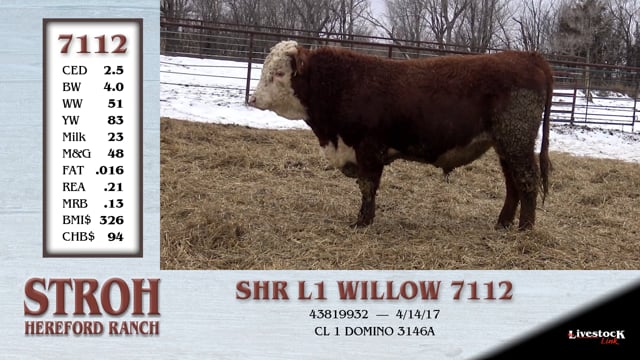 Lot #7112 - SHR L1 WILLOW 7112