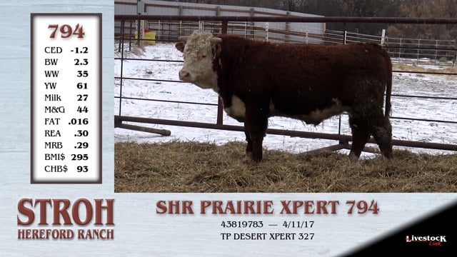 Lot #794 - SHR PRAIRIE XPERT 794