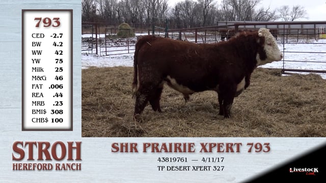 Lot #793 - SHR PRAIRE XPERT 793