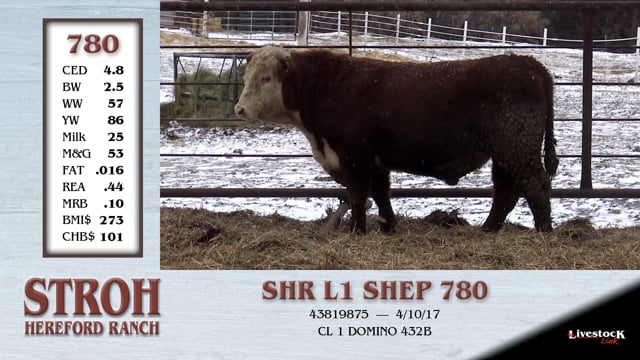Lot #780 - SHR L1 SHEP 780