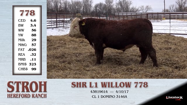 Lot #778 - SHR L1 WILLOW 778