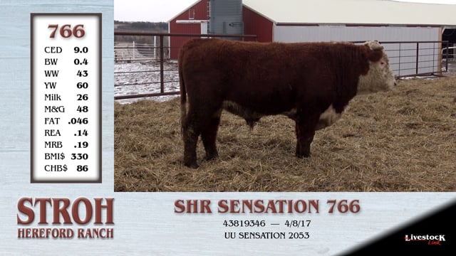 Lot #766 - SHR SENSATION 766
