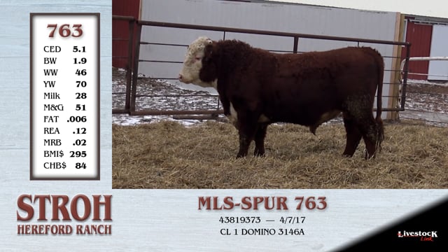 Lot #763 - MLS-SPUR 763