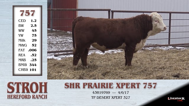 Lot #757 - SHR PRAIRE XPERT 757