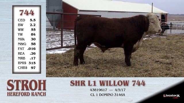 Lot #744 - SHR L1 WILLOW 744