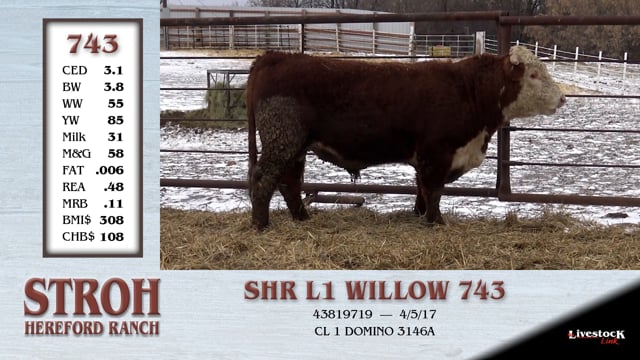 Lot #743 - SHR L1 WILLOW 743