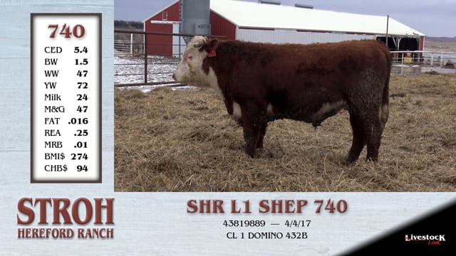 Lot #740 - SHR L1 SHEP 740