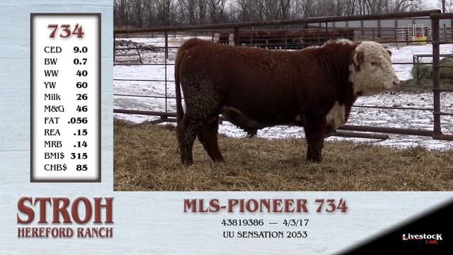 Lot #734 - MLS-PIONEER 734