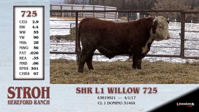 Lot #725 - SHR L1 WILLOW 725