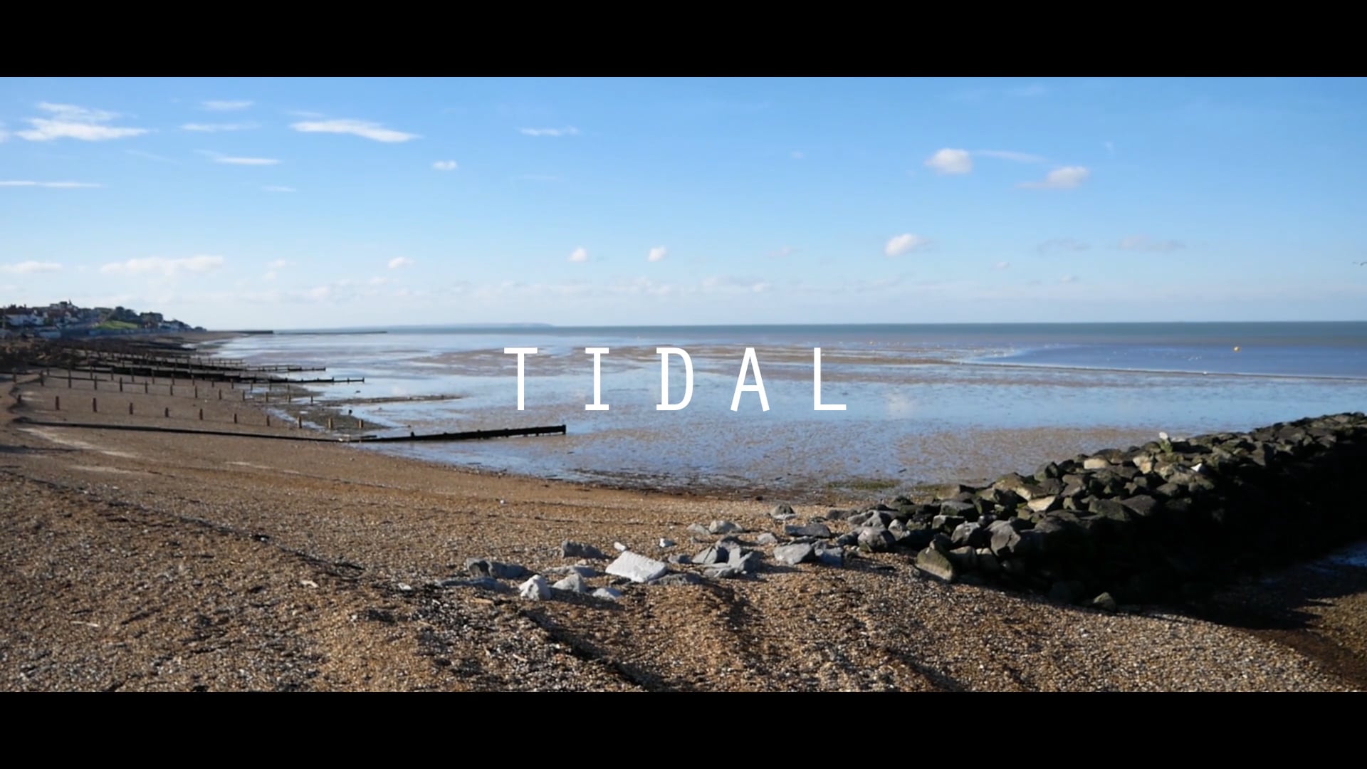 Tidal