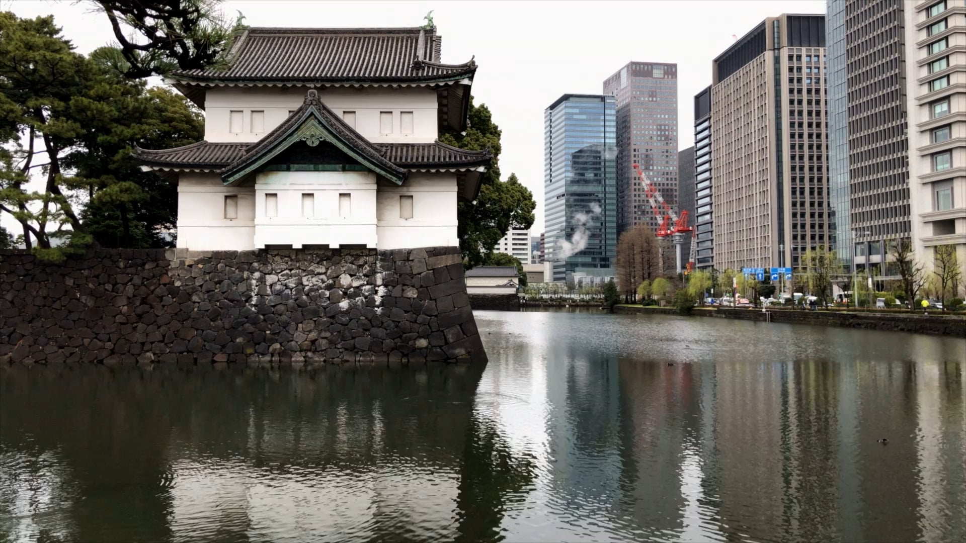 FoodQuest Takes Tokyo