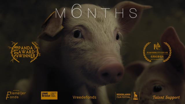 M6NTHS OFFICIAL TRAILER