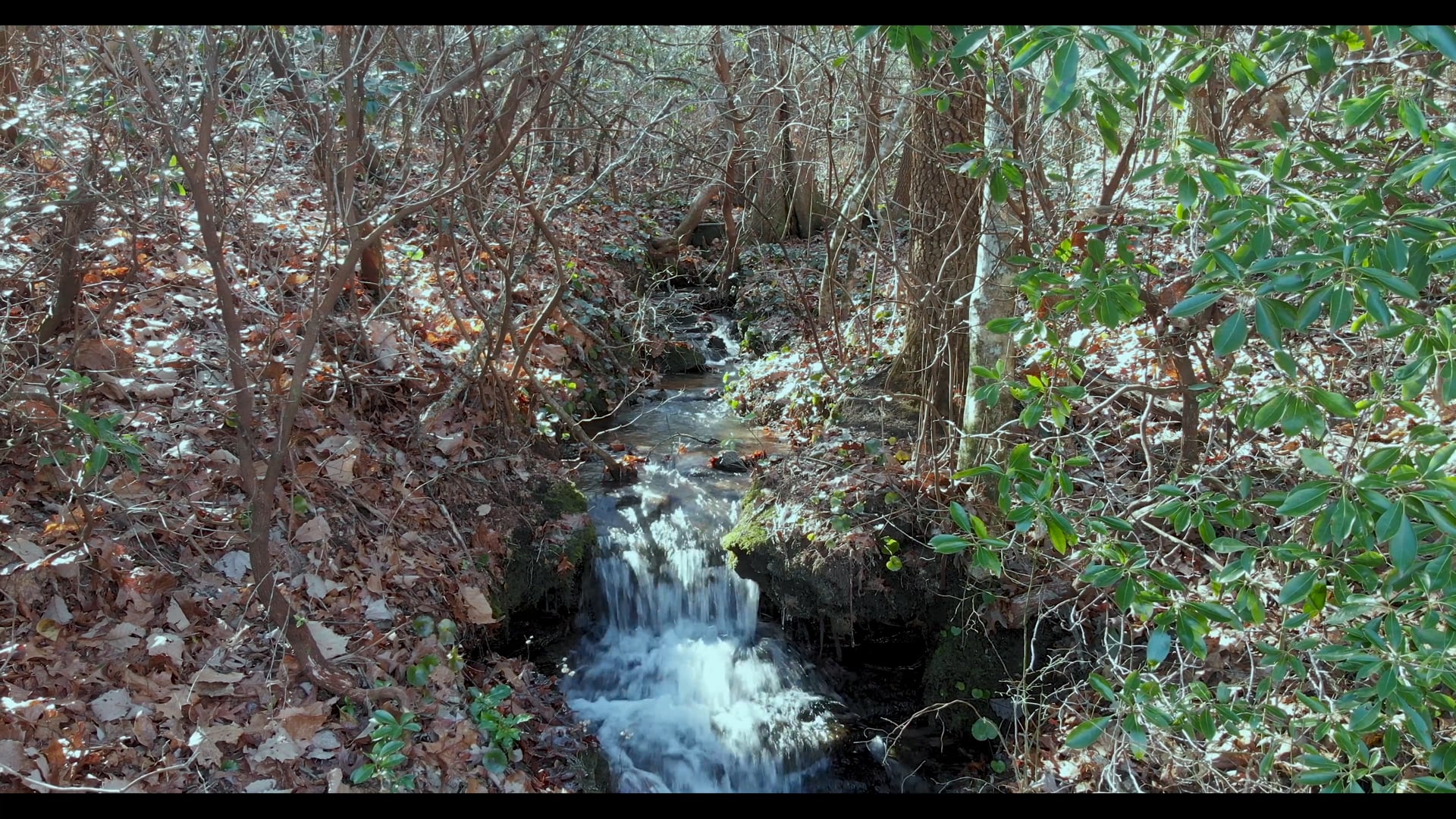 Lot 156 Cold Stream Trail