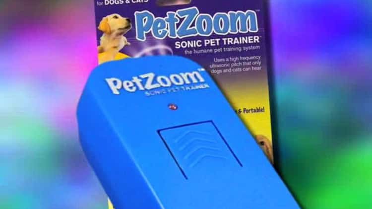 Sonic pet hot sale trainer