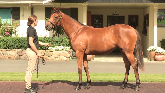 Lot 374