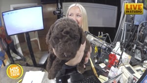 Local Puppies on Mission to Help Rescued Slaves in India