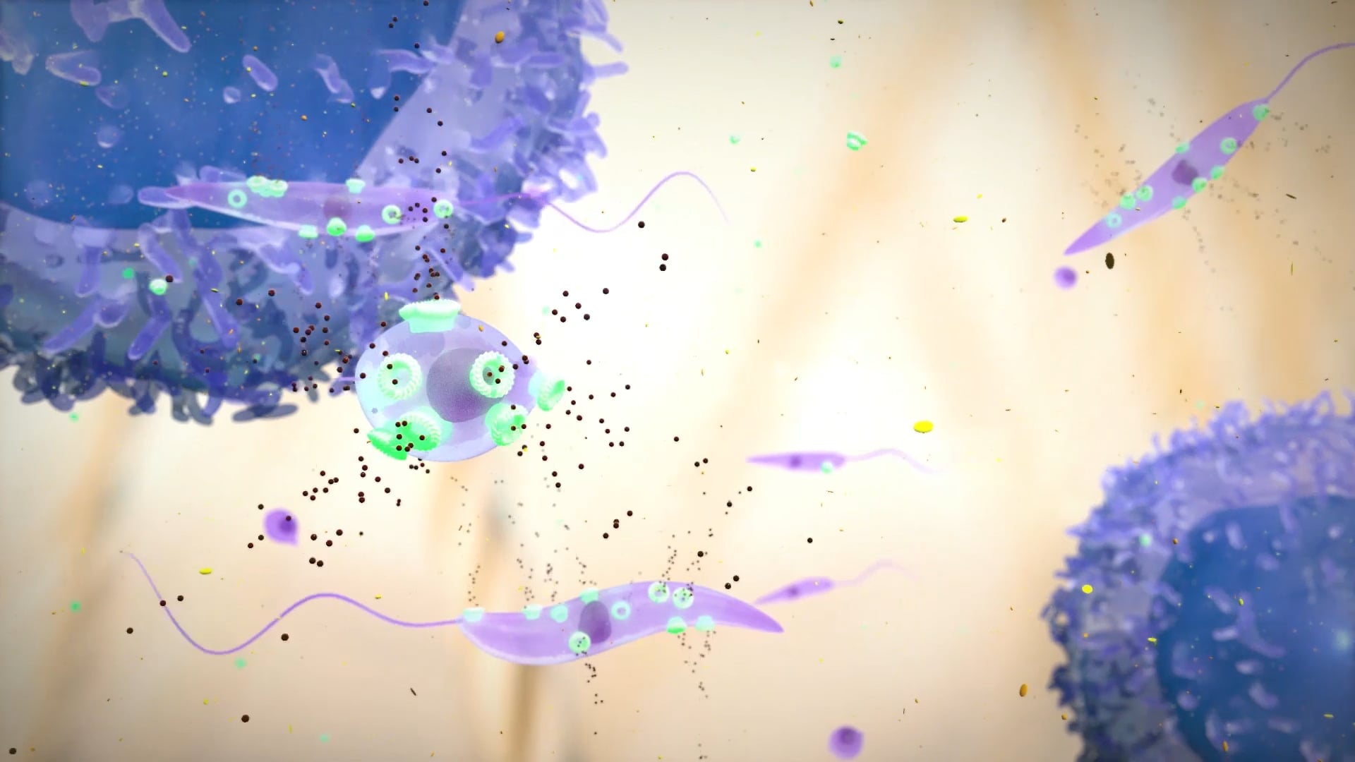 LetiFend®: vacuna contra la Leishmaniosis canina on Vimeo