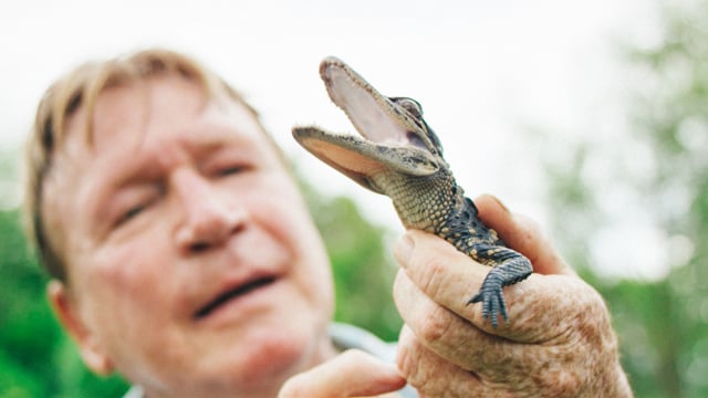 Conrad Hotels & Resorts - Customer Success Story