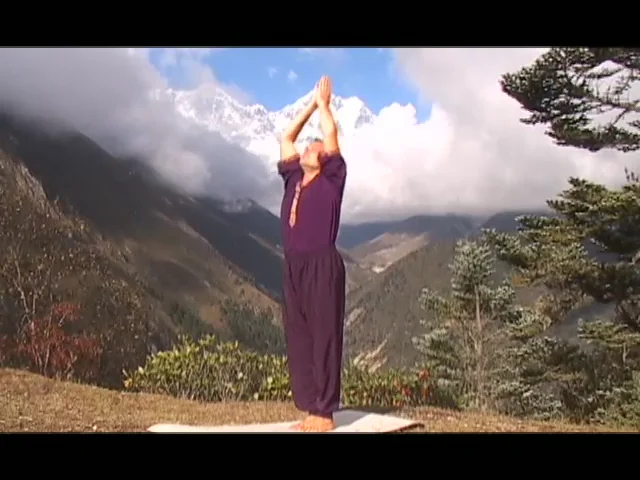 【ヨガDVD】Dance of Shiva with Andrey Lappa Dance of Shiva: A Yogic System of Conscious Liberation with