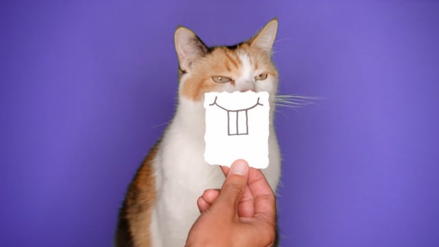 Western Dental and Orthodontics - Customer Success Story