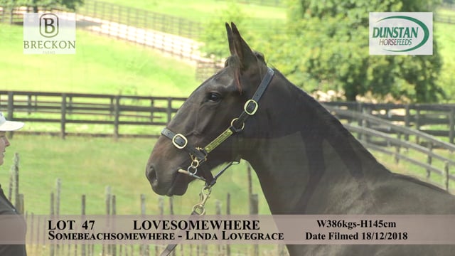 Lot 47